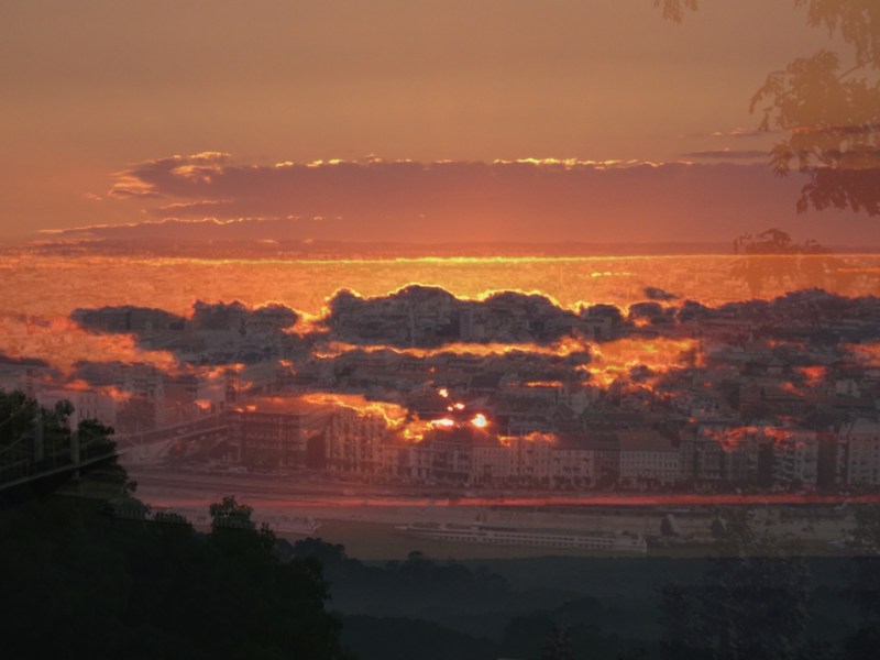 Sue Rado Photography Byron Bay Fernleigh