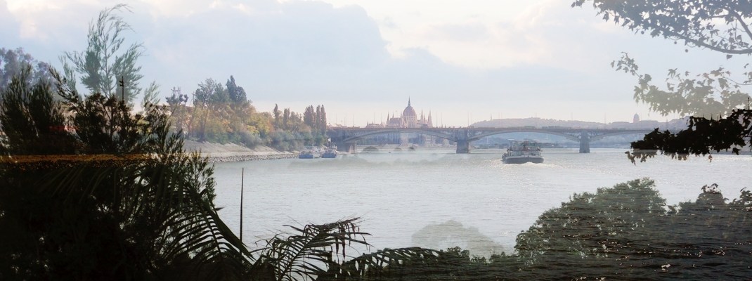 Sue Rado Photography Byron Bay Fernleigh