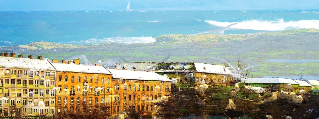 Sue Rado Photography Byron Bay Fernleigh