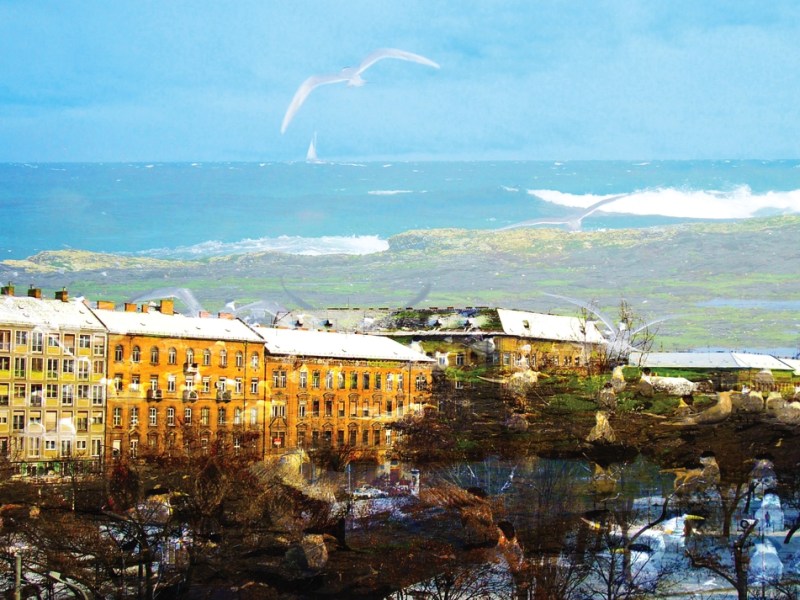 Sue Rado Photography Byron Bay Fernleigh