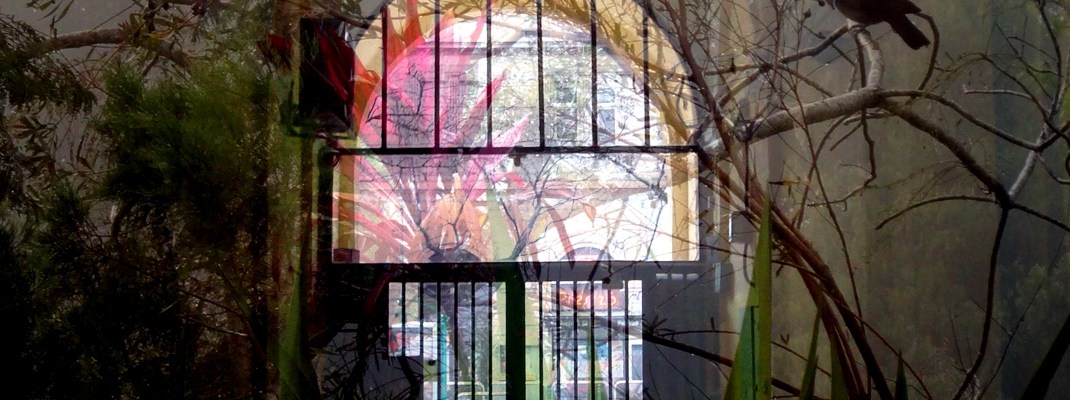 Sue Rado Photography Byron Bay Fernleigh