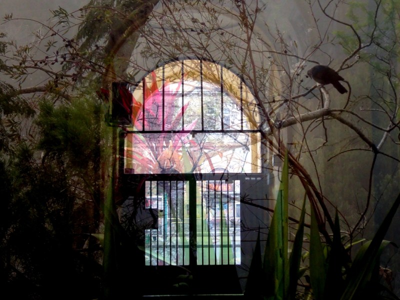 Sue Rado Photography Byron Bay Fernleigh