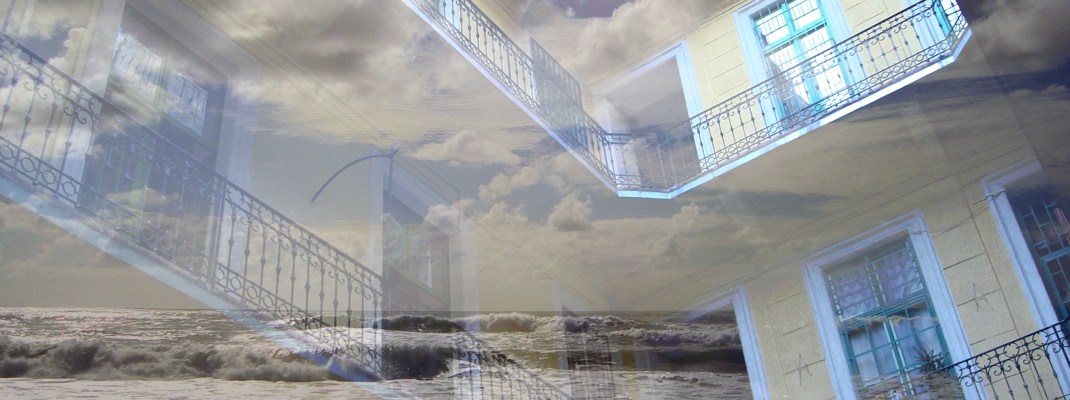 Sue Rado Photography Byron Bay Fernleigh