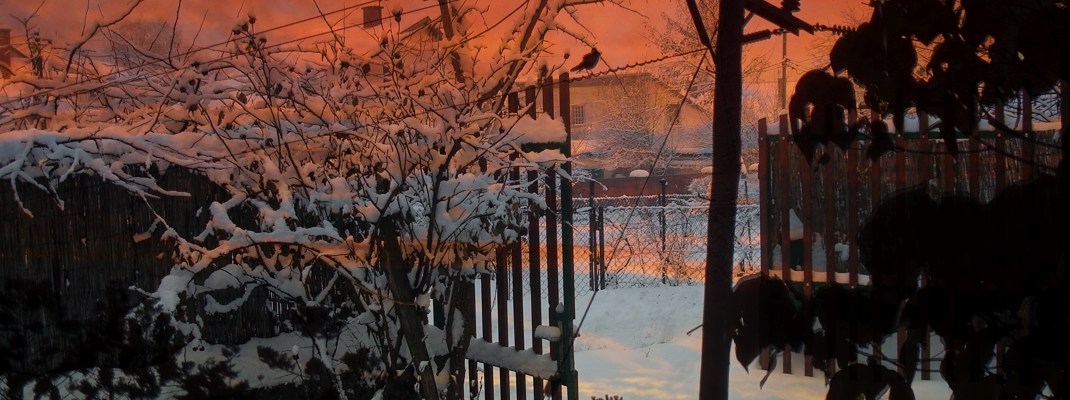 Sue Rado Photography Byron Bay Fernleigh