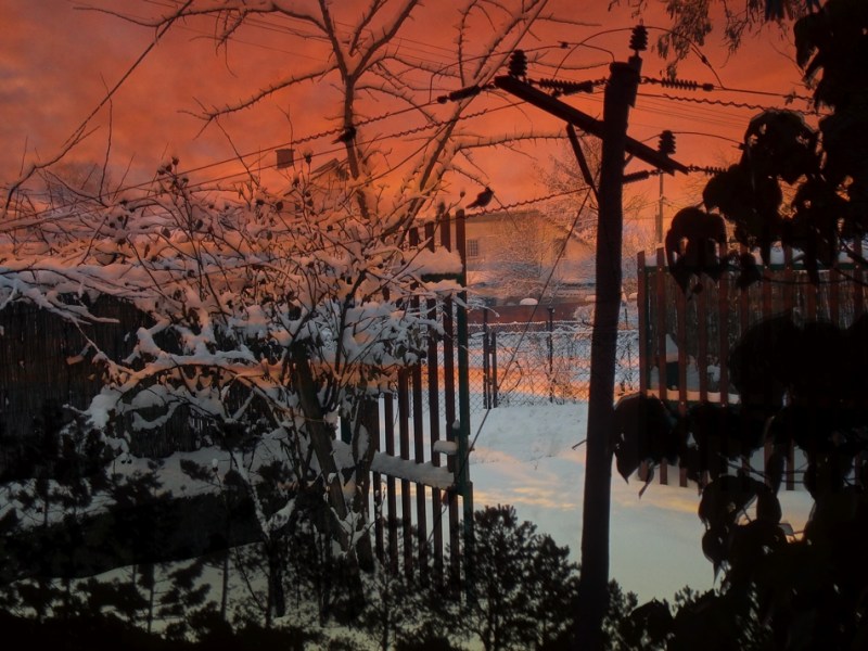 Sue Rado Photography Byron Bay Fernleigh